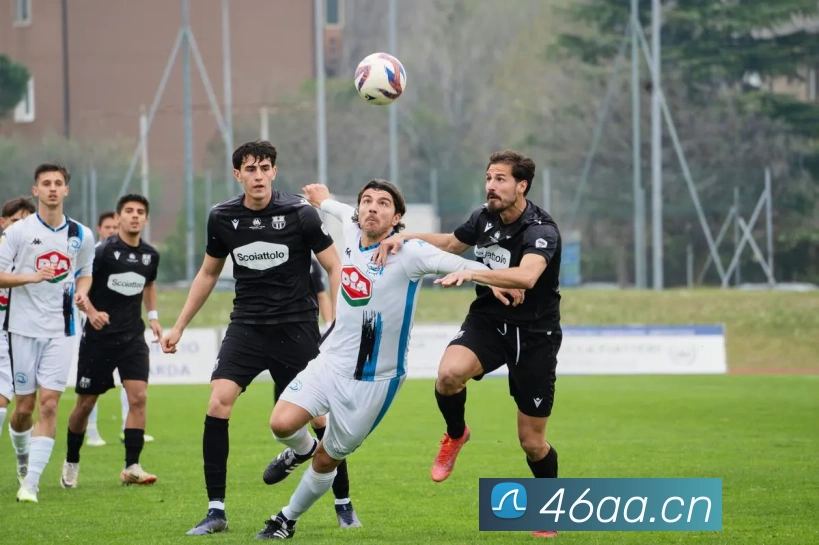 爱游戏体育官网登录平台生态图